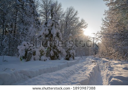 difficult winter road in the forest