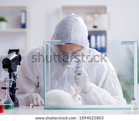 Scientist doing animal experiment in lab with rabbit Royalty-Free Stock Photo #1894025803