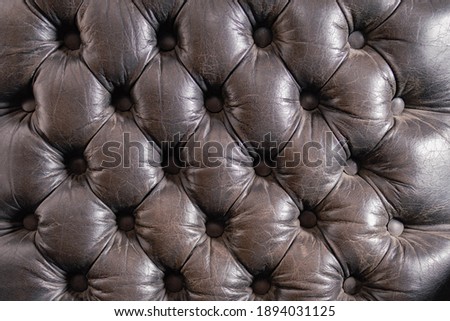 brown chester or chesterfield style armchair with buttons on animal skin cordoba argentina