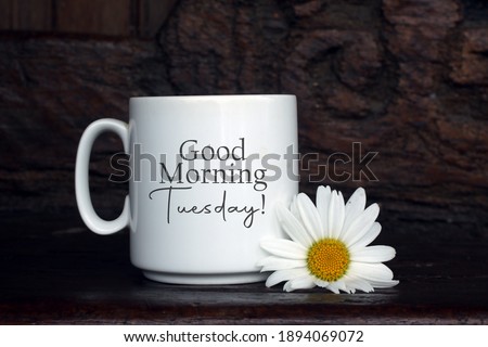 Good morning Tuesday. A Tuesday coffee and greeting concept with white cup of coffee or tea and a white daisy flower decoration on the table. Royalty-Free Stock Photo #1894069072