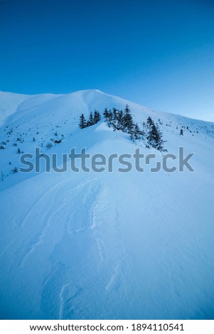 A beautiful shot of a snowy landscape