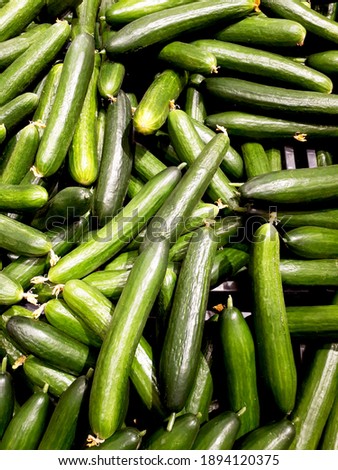 background pattern of green cucumbers