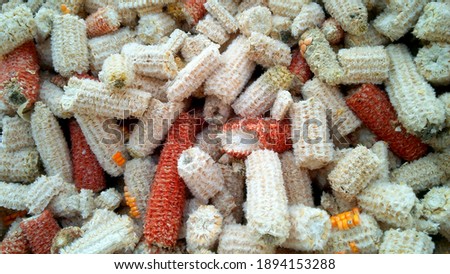 dried and empty maize corn cob