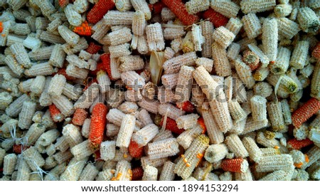 dried and empty maize corn cob