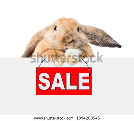 Lop-eared Easter rabbit holds sales symbol above white banner. Isolated on white background