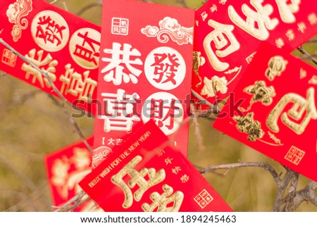 Several red envelopes on the branch，Chinese translation: Gong Xi Fa Cai，good luck and everything goes well.