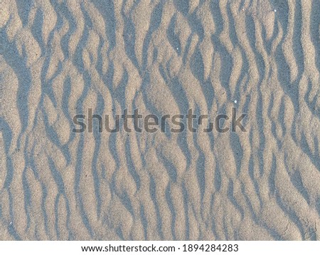 Picture of sandy beaches formed by the water in the Mekong River down.  Nakhon Phanom Province, Thailand, visible shell remains  Beautiful patterns
