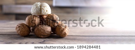 Walnuts like healthy food for the brain. Shape of human brain is surrounded by walnut kernels. It symbolizes how brain similarity with walnuts and proven effectiveness as healthy food for brain.