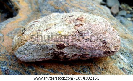 Amazing river stone with amazing texture shape and design
