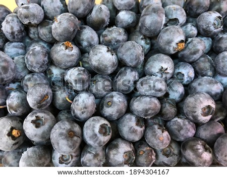 Macro photo blueberry. Stock photo fresh blueberry