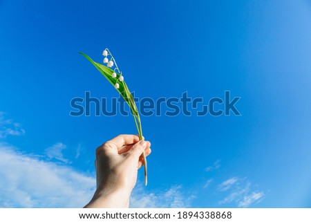 Man holds in hand one stem of a blossoming white lily of the valley against the blue sky background. Copy space. Springtime. Good weather. Great mood. Peace and freedom. Greeting card. Certificate.