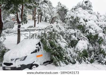 Fallen trees in city center, stormy weather and traffic accident, insurance, weather forecast  Royalty-Free Stock Photo #1894343173