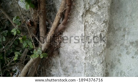 water seepage best quality images  and texture designs