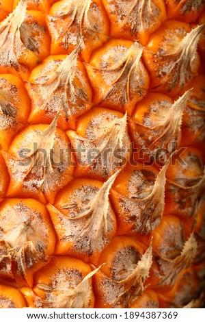 Raw fresh pineapple fruit skin- nature macro abstract background- selective focus image.