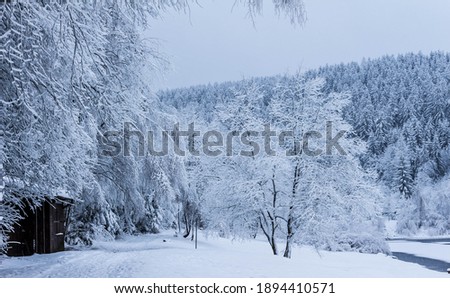 wooden cabon in winter landscape forest outdoor