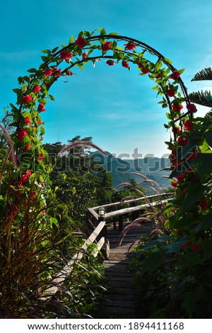 photo of Flower arch with mountain view
