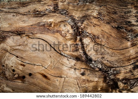 wooden Texture 