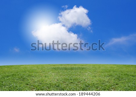 green grass and blue sky on sunny day