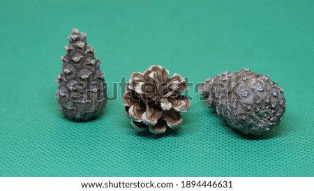 three pine cones on a green background