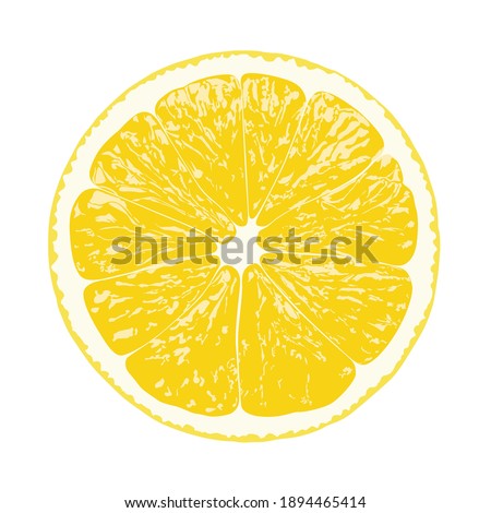 Lemon slice, clipping path, isolated on white background, vector illustration. Royalty-Free Stock Photo #1894465414
