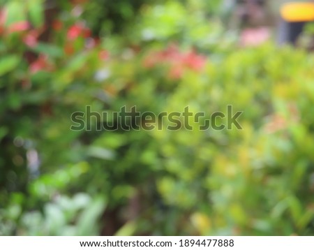 Fresh green plants blurry background in garden