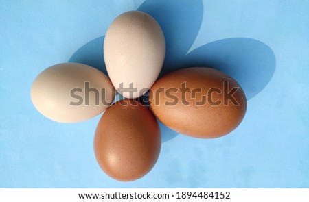 Egg.Double white and double golden grey eggs on a soft green bac