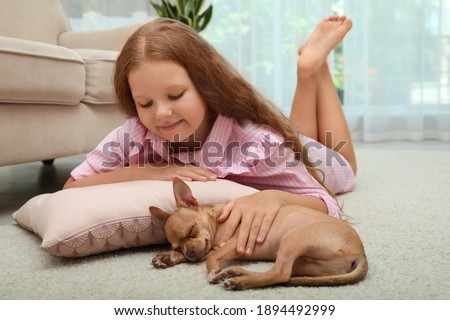 Cute little child and her Chihuahua dog at home. Adorable pet
