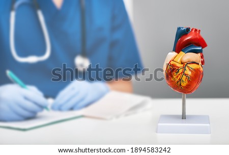 Anatomical model of human heart on doctor table in a cardiology office. In the background, a cardiologist wearing a medical coat writes a diagnosis to a patient Royalty-Free Stock Photo #1894583242