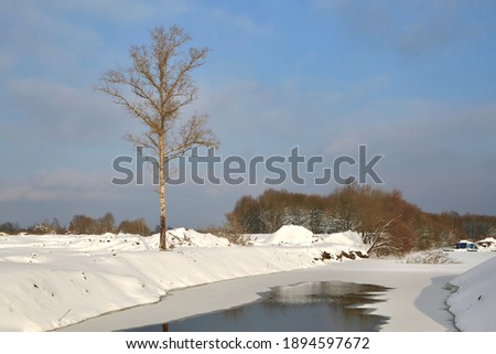 Winter landscape with a river and a detached tree.