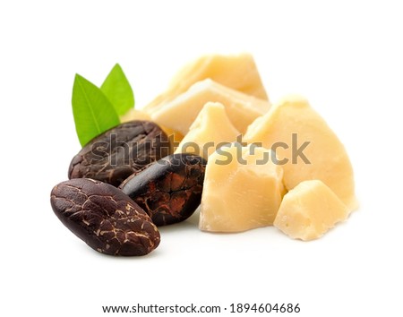 Cacao butter and cacao beans on white backgrounds.Super food. Organic oil. Royalty-Free Stock Photo #1894604686