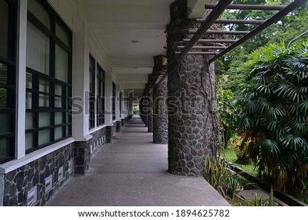 a corridor building decorated with trees and plants. ornate stone walls and glass windows with white walls and black iron poles taken in the afternoon