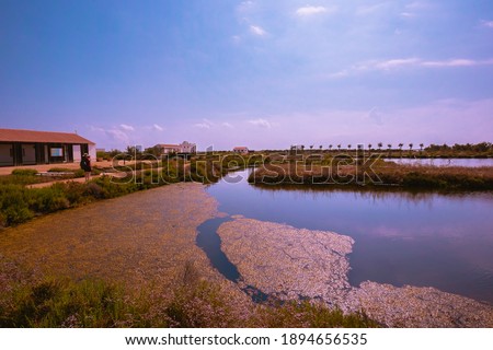 National Park with rice fields and saltworks. South Catalonia (Spain)