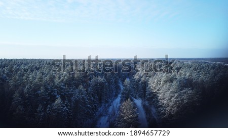 Aerial view of winter forest. Pines and spruce winter background. Winter landscape from the air. Natural forest background with drone.
Winter forest.