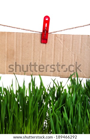 Guide Sign on the String above the Grass on the White Background