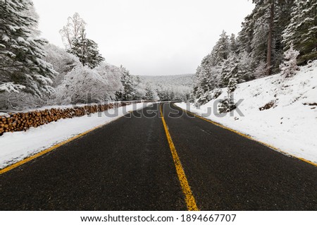 The mountain road is snowy and icy. Fantastic winter images. Yedigoller National Park. Bolu, Istanbul. Turkey.