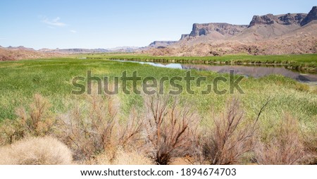 Bill Williams River National Wildlife Refuge in Arizona, USA
