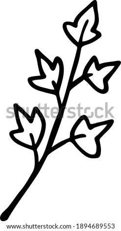 Twig with maple leaves. Hand-drawn doodle. Vector illustration. Forest theme.