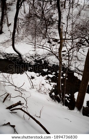 Moody dark creek and trees after white snow. Dead leaves and dark water, dull sky landscape photo.