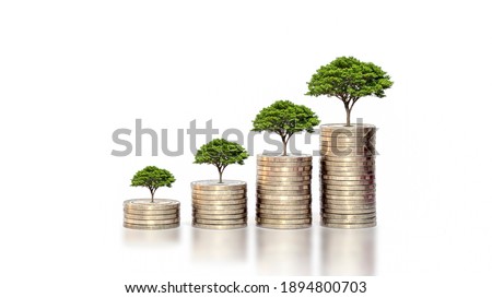 Green leaf plant growth on the coin on white background business start idea and business building to success.