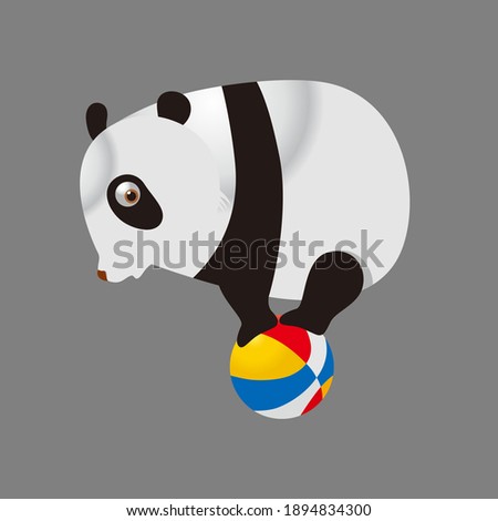 A cute panda playing colorful balls in isolation on a gray background, a collection of cartoon model animals, suitable for doll models, t-shirt printing, card printing, banners etc.