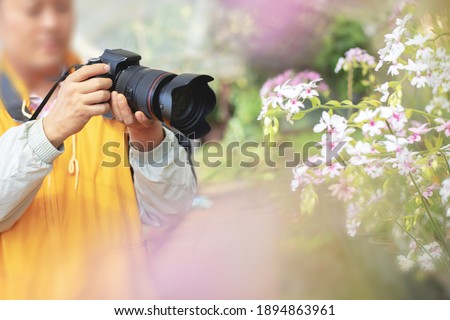 Male photographer taking picture of a beautiful dendrobium orchids using dslr camera