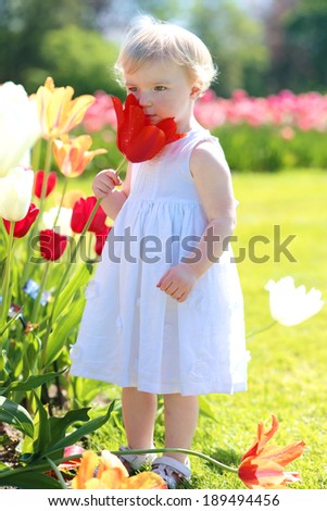 Adorable child, blonde toddler girl in beautiful white dress, playing in the park full of blooming red tulips