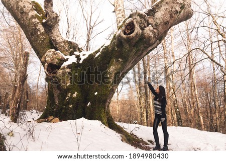 Young woman under a huge beech on the Basque Country's forest.