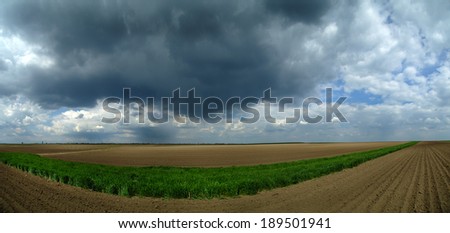 Panorama of spring wheat and arable land over stormy clouds