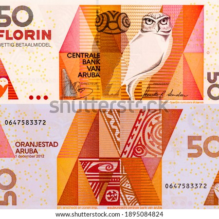 Burrowing Owl, Portrait from Aruba 50 Florin 2012 Banknotes.