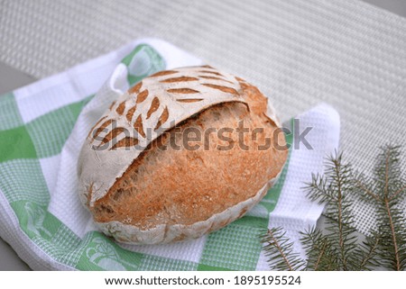 Home baked wheat bread with hand scoring; delicious crusty white bread loaf on dish cloth with pine branch in background