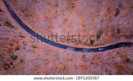Aerial view of forest in autumn with road cutting through. Drone view of road in forest with red purple trees in fall. Picture is taken in Croatia, Zagreb, mountain Medvedica.