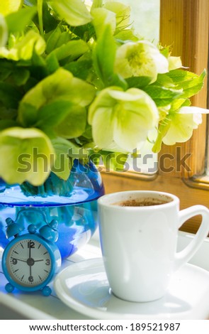 Helleborus flowers in the vase on the window