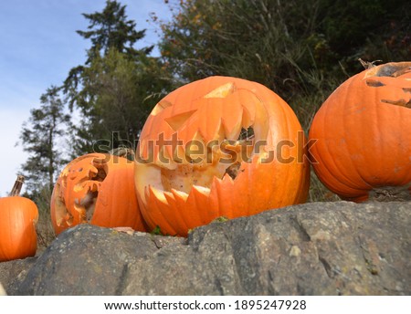 Rotting Jack-O-Lanterns with Scary carvings and forest in background.  Picture taken outdoors from below at an angle.