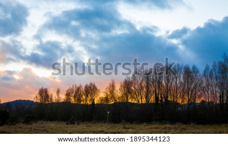 Sunset landscape picture, trees on fire
